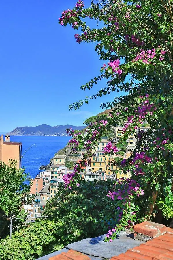 5 Terre For You Riomaggiore